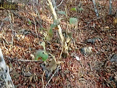 Pov: Encuentras Una Chica En El Bosque Y Terminan Cogiendo Rico