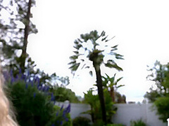 Brad Finishes By Spraying Nicole With A Grand Finale O