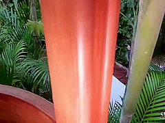 Bastidor Da Rainha Do Anal 11 Min With Elisa Sanches