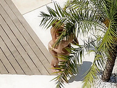 Best Sex Clip Hd Check Full Version With Eveline Michelle
