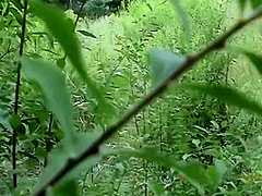 Spannervideo Parkplatz Typ Fickt Eine Milf