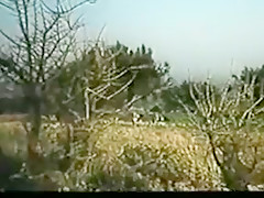 Vintage hairy greek peasants fucking 3