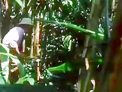 Crystal breeze ron jeremy