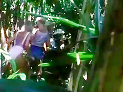 Crystal breeze ron jeremy