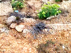 Paseo y chupa bajo la lluvia