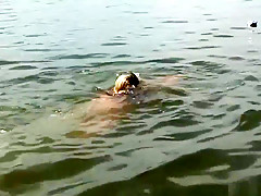 Amazing pornstar in hottest brunette, striptease adult video