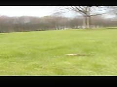 Flashing In The Park