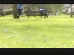 Flashing In The Park