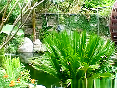 Horny pornstar Genesis Sky in crazy facial, threesomes porn clip