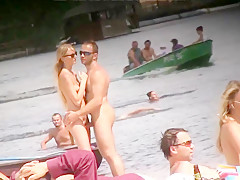 Beach wood 4