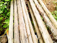 Married Milf Lagged Behind The Tour Group And Was Fucked Right On The Forest Path 12 Min