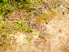 Married Milf Lagged Behind The Tour Group And Was Fucked Right On The Forest Path 12 Min