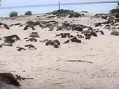 Couple Spied On While Fucking On The Beach