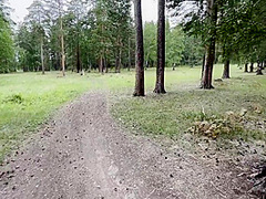 Hot Stranger Lost In The Woods Im Fucking Her Pussy While She Doesnt Notice Pretending To Help