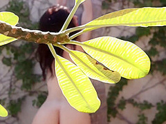 Azura Grace Blooming Point