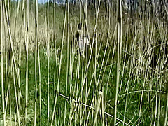 Nude Milf Masturbating Outdoors