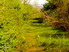 Cherry X And Tara Cherry In Sodomy Picnic (risky Real Anal Sex In P