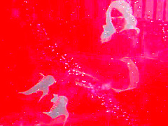 Mom And Daughter Pay With Their Bodies A Ride In The Yacht - Esmeralda Duarte Y Dasha - Dasha Esmeralda Duarte - Sexmex