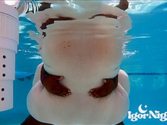 Bbw Fucking In The Pool