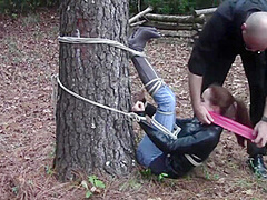 Madelyn : Tree Bound