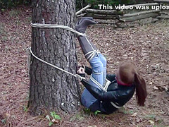Madelyn : Tree Bound