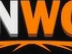 Your Lonely Wives GP1510 - PornWorld