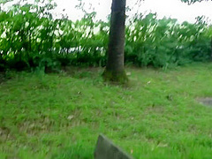 Mia Adler - - Gratis Rastplatz Fotze Fickt Ultr