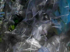 A Lucky Fucker Gets To Plug His Girls Asshole In An Outdoor Setting