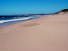 Visit To The Beach In Portugal