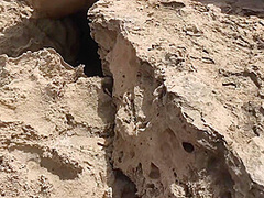 Gold Teachers - Oral Sex Of A Lustful Couple On A Public
