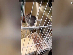 Sex In A Capsule Hostel And A Journey To The Big City 16 Min