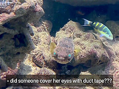 Sex In A Capsule Hostel And A Journey To The Big City 16 Min