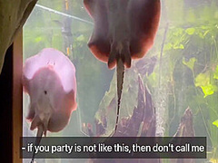 Sex In A Capsule Hostel And A Journey To The Big City 16 Min