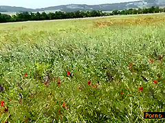 Porno Tempus - We Suck Dicks In The Poppy Field. Unsati