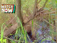 Cum Panties And Family Therapy In Stepbrother And Stepsister Help Each Other To Cum On Panties 8 Min