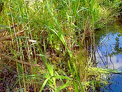 Cum Panties And Family Therapy In Stepbrother And Stepsister Help Each Other To Cum On Panties 8 Min