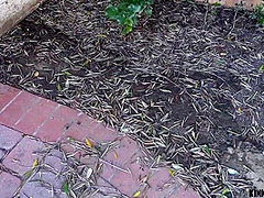 Kinky Stuff With A Beautiful Skinny Stepsister Sex