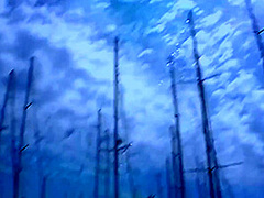 Blowjob Blonde Loves To Jerk Off Cock