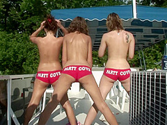 Party Cove Horny Girls