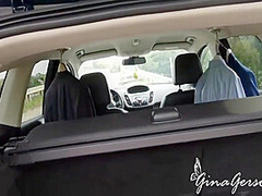 Highway Public Fuck 7 Min - Gina Gerson