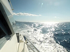 Latest Swamebus The Adventurers All Board The Swame Boat! (04.05.2023) Streamvid.net