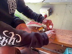 Sasha Beart, Eden Ivy And Misha Maver In And Edited) Lesbian - Anal - Ass Licking - Face Sitting - Dildos - Masturbation - Mature - Prolapse - Gaping - Tattoos - Threesome - Ev*langel