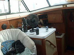 Cute Girls Going on a Naked Boat Ride Around Tampa Bay