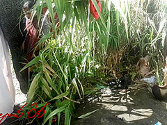 Ghar Se Bahar Chudne Ka Maza Hi Kuchh Aur Hai Sex In Garden
