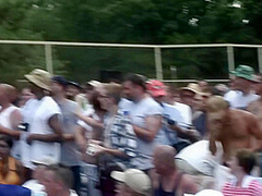 Last of Some Nudes a Poppin' - for now