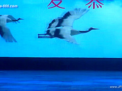 Chinese model in sexy lingerie show.20