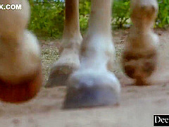 Rapidgator.net Vtbe.to With Amber Moore And Kenna James