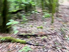Sadie X - Girl Lost In The Forest Gives A Handjob To A Stranger, Girl Peeing In Nature, Peeing In The Forest, Outdoor Handjob, Amateur Sex. Chica Perdida En El Bosque Hace Una Paja A Un Extrano, Chica Meando 10 Min