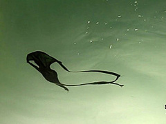 Snowed in Iowa Hotel and Night Time Skinny Dipping