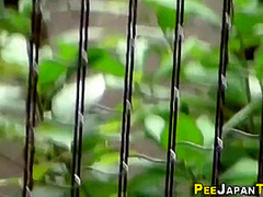 Followed Asians Urinate - Voyeur Porn Clip